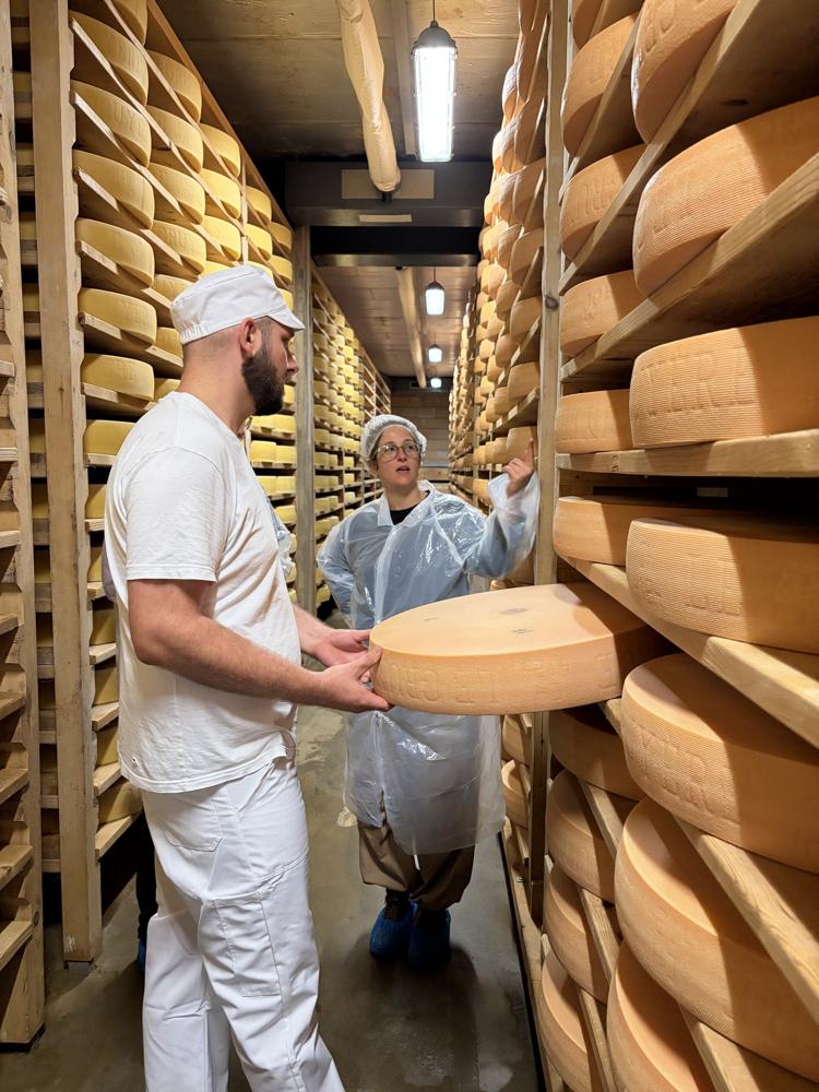 Two cheesemakers handling a wheel in an aging cellar